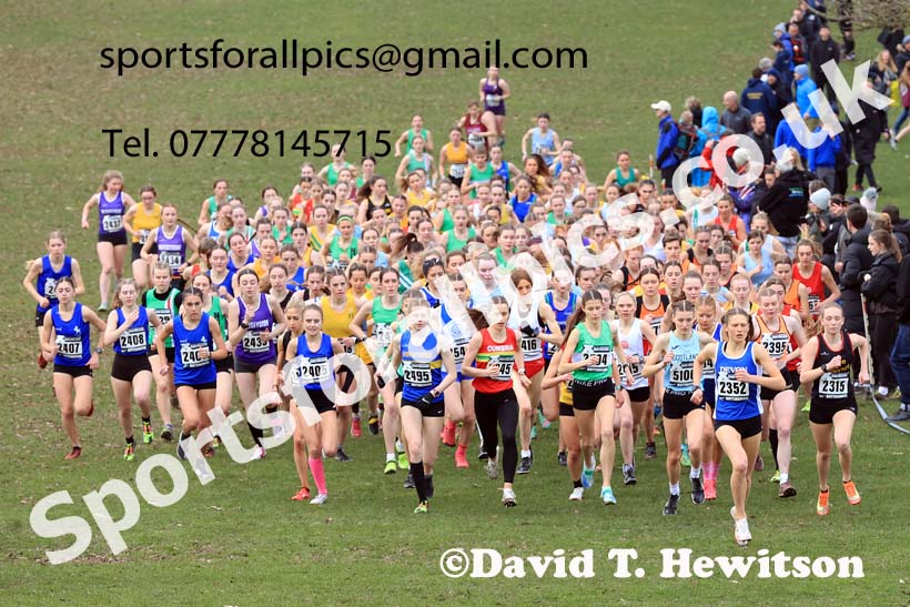 Womens Under-20s, 2024 CAU Inter Counties Cross Country Champs., Wollaton Park, Nottingham. Photo: David T. Hewitson/Sports for All Pics